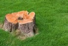 Orange stump-grinding-services-2.jpg; ?>